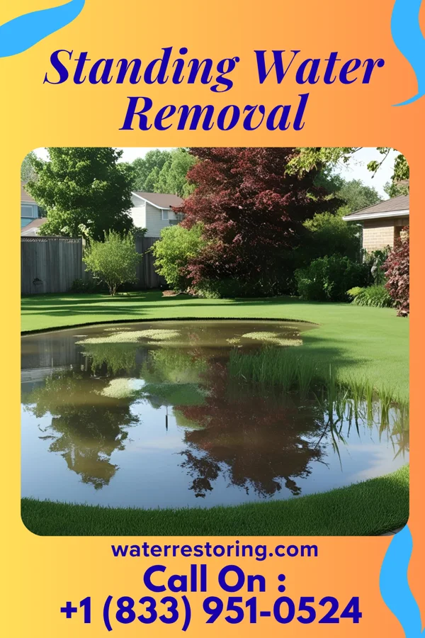 Standing Water Removal in Mint Hill, NC